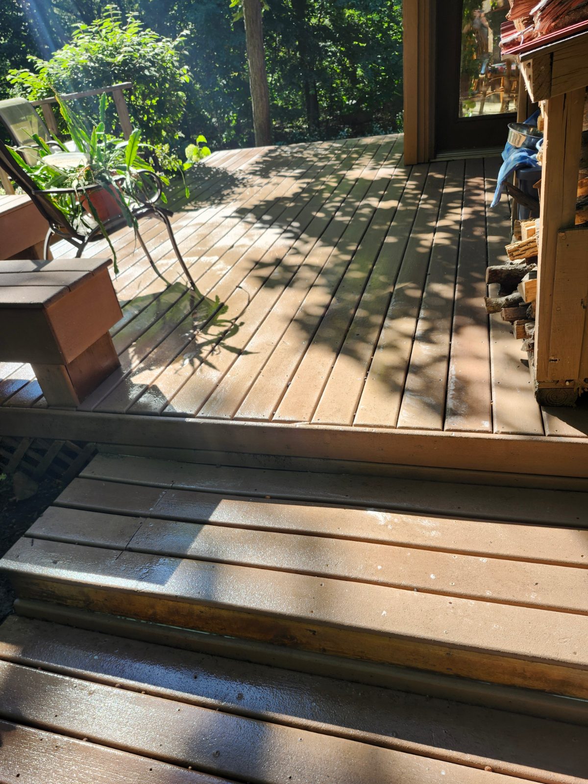 Deck & Fence